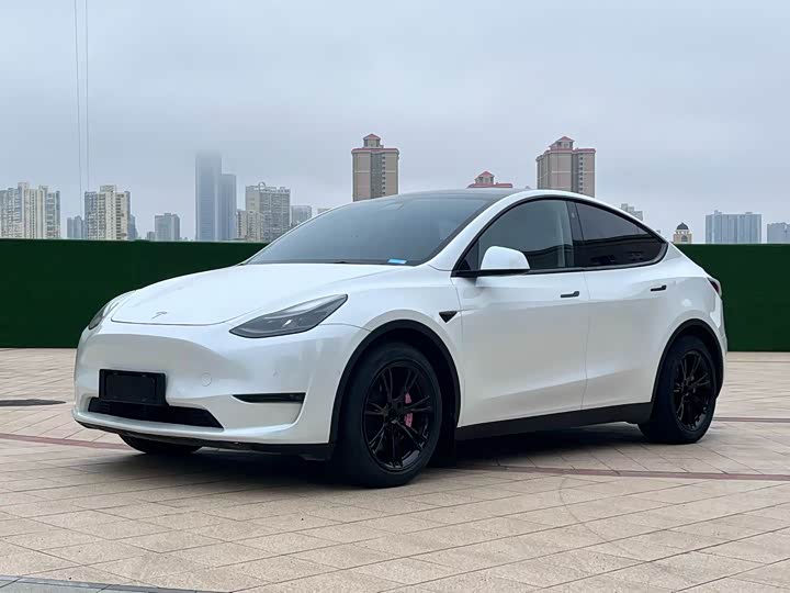 Фото 1 - Tesla Model Y