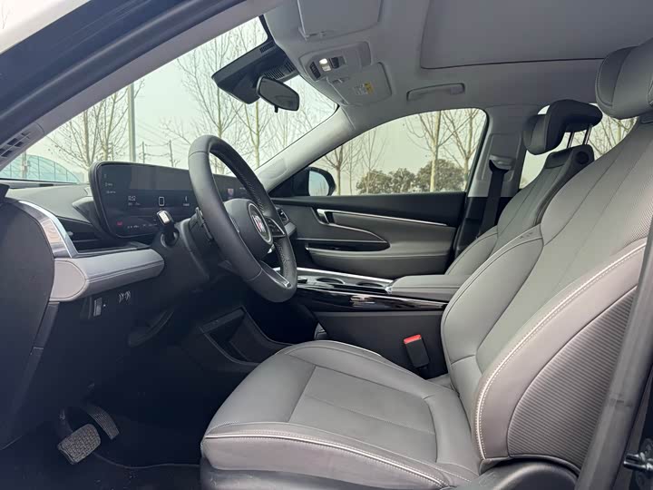 Фото 6 - Buick Electra E5