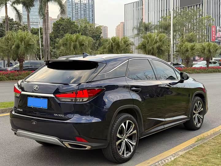 Фото 3 - Lexus RX