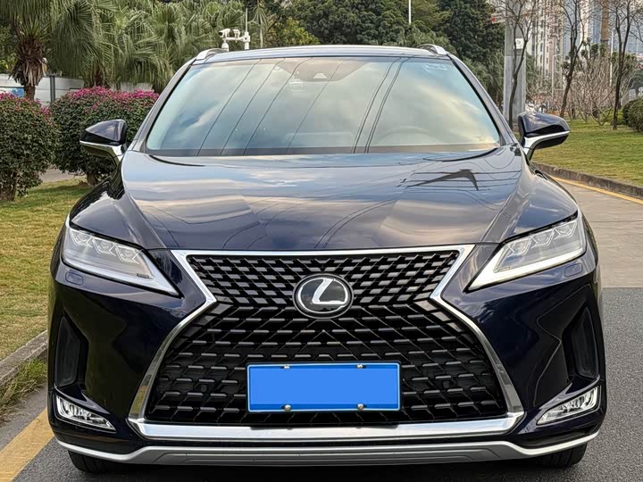 Фото 5 - Lexus RX