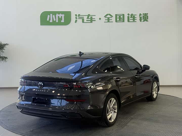 Фото 4 - Volkswagen Lamando L