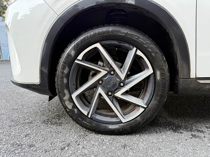 Фото 9 - Hozon AYA