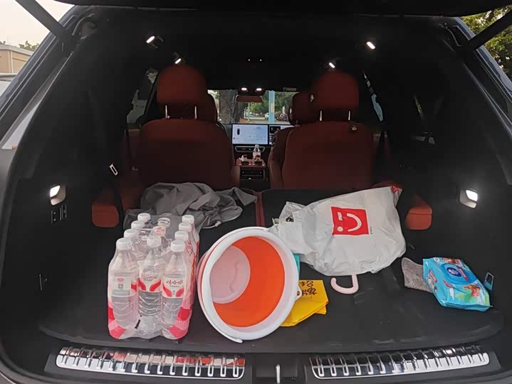 Фото 4 - LiXiang L8