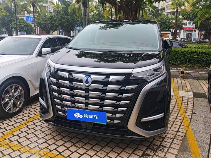 Фото 1 - Denza D9