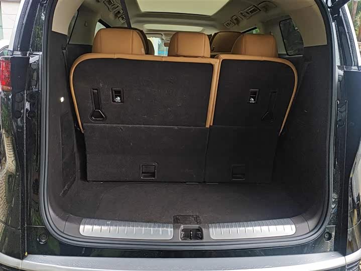 Фото 4 - Denza D9