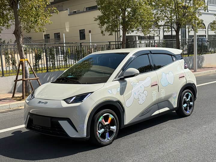 Фото 1 - BYD Seagull