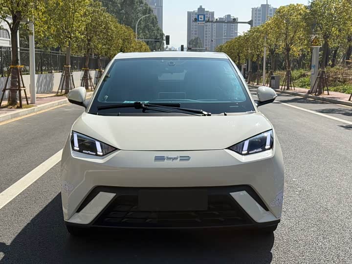 Фото 2 - BYD Seagull