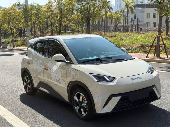 Фото 3 - BYD Seagull