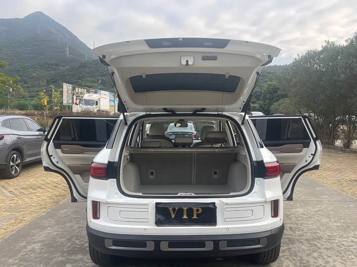 Фото 7 - Geely Icon