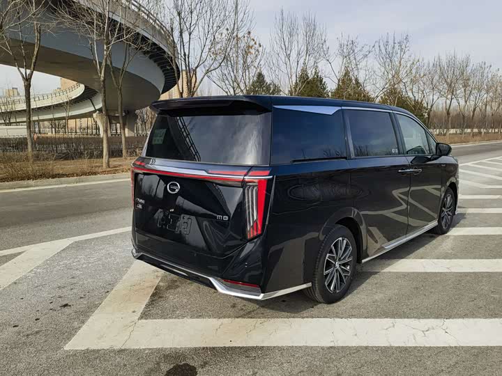 Фото 6 - GAC Trumpchi M8