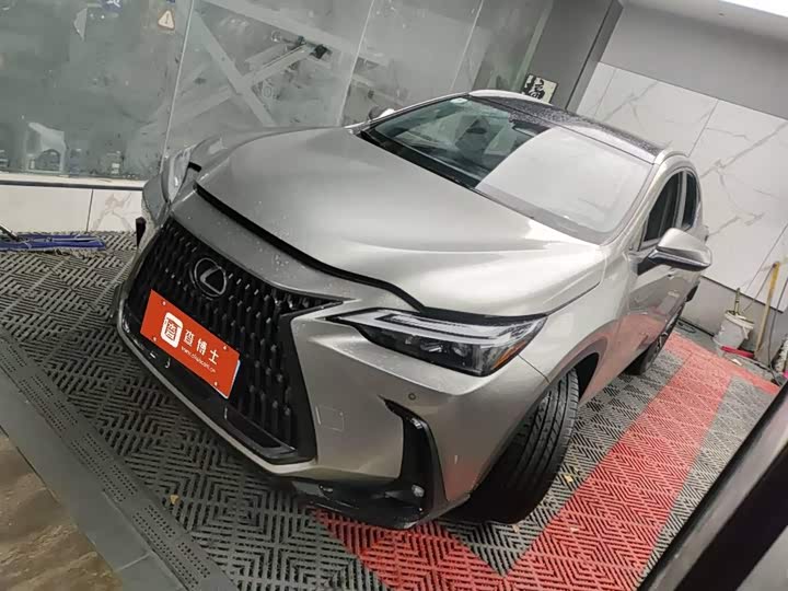 Фото 1 - Lexus NX