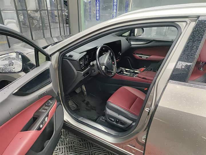 Фото 9 - Lexus NX