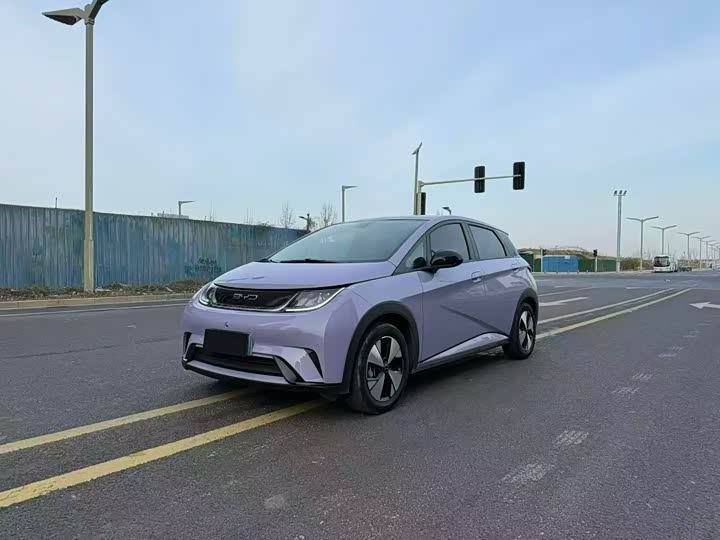 Фото 1 - BYD Dolphin