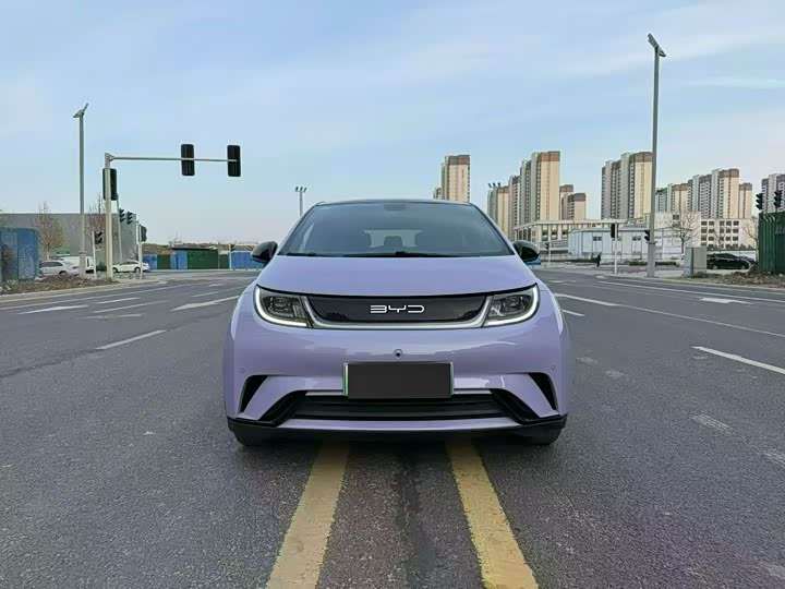 Фото 2 - BYD Dolphin