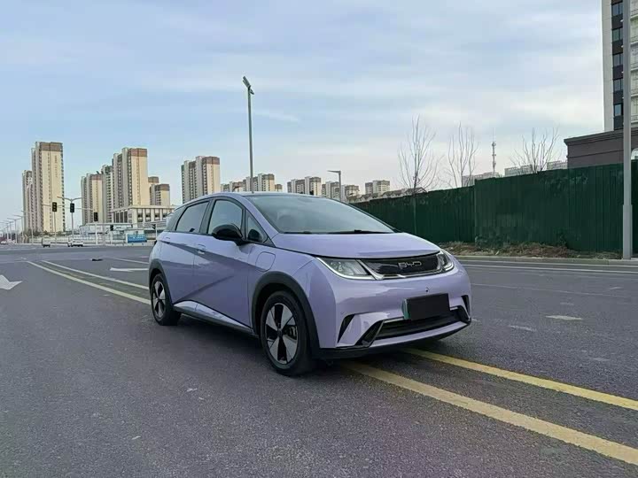 Фото 3 - BYD Dolphin