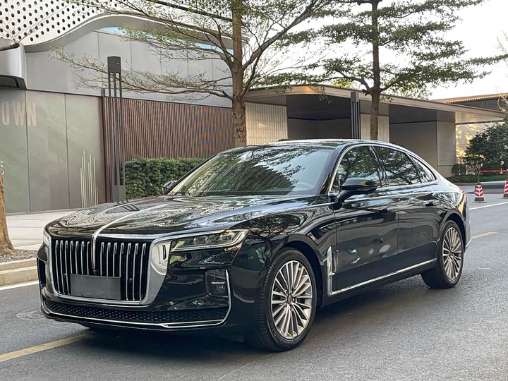 Фото 1 - Hongqi H9