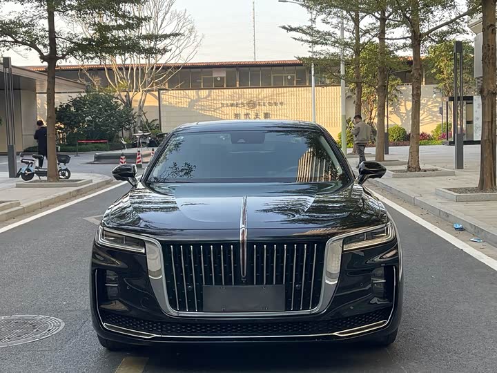 Фото 2 - Hongqi H9