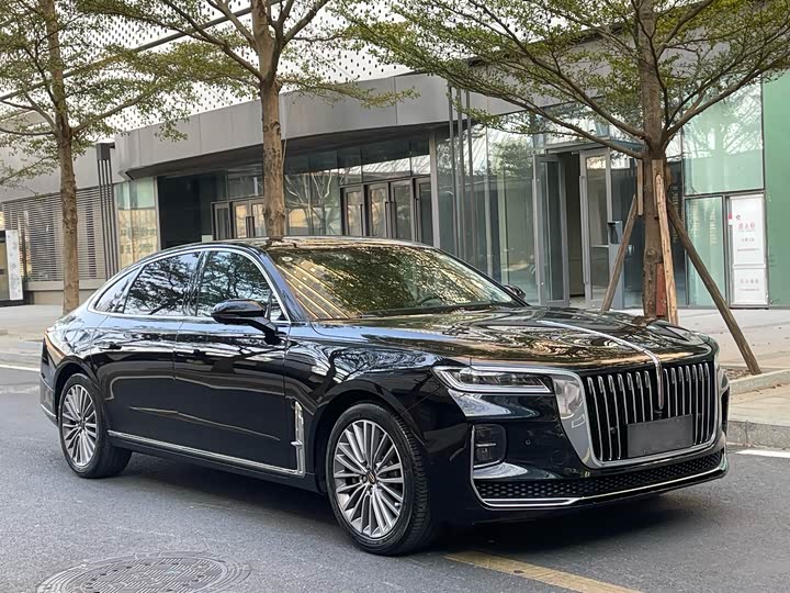 Фото 3 - Hongqi H9