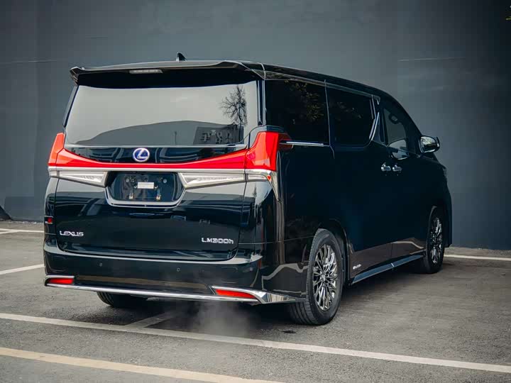 Фото 6 - Lexus LM