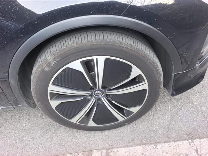 Фото 6 - BYD Tang Hybrid/EV