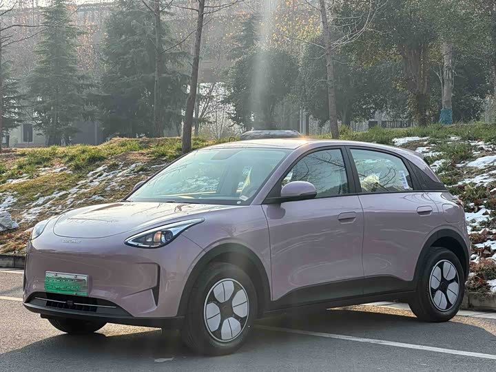 Фото 2 - Geely Galaxy Geome