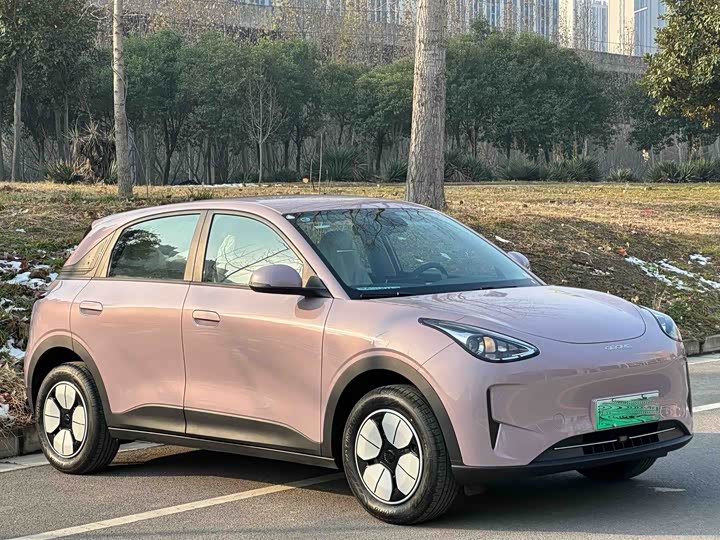 Фото 4 - Geely Galaxy Geome