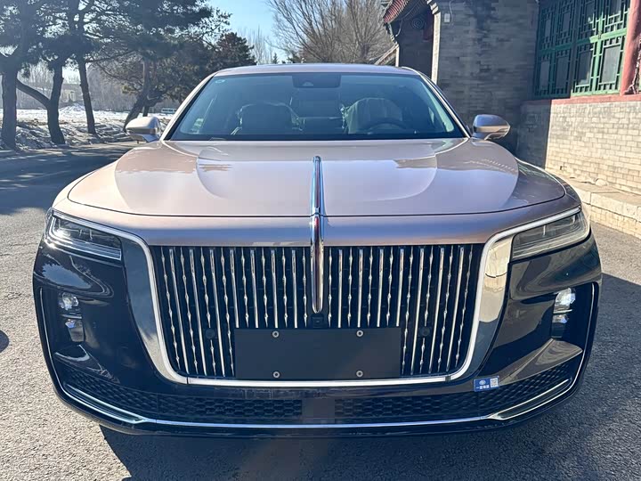 Фото 1 - Hongqi H9