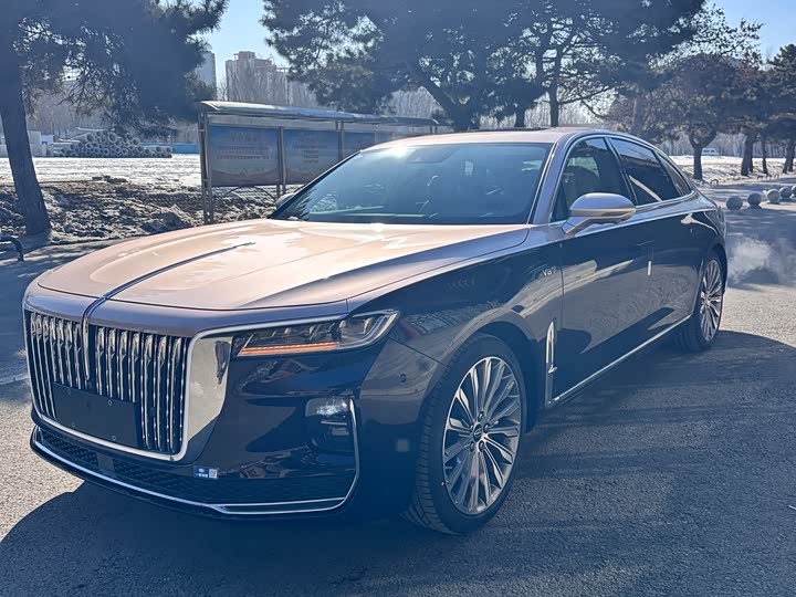 Фото 2 - Hongqi H9