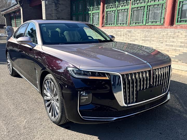 Фото 3 - Hongqi H9