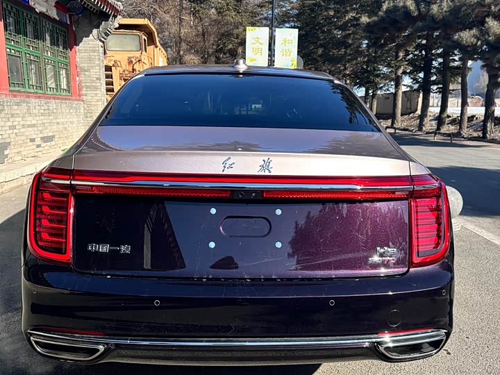 Фото 4 - Hongqi H9