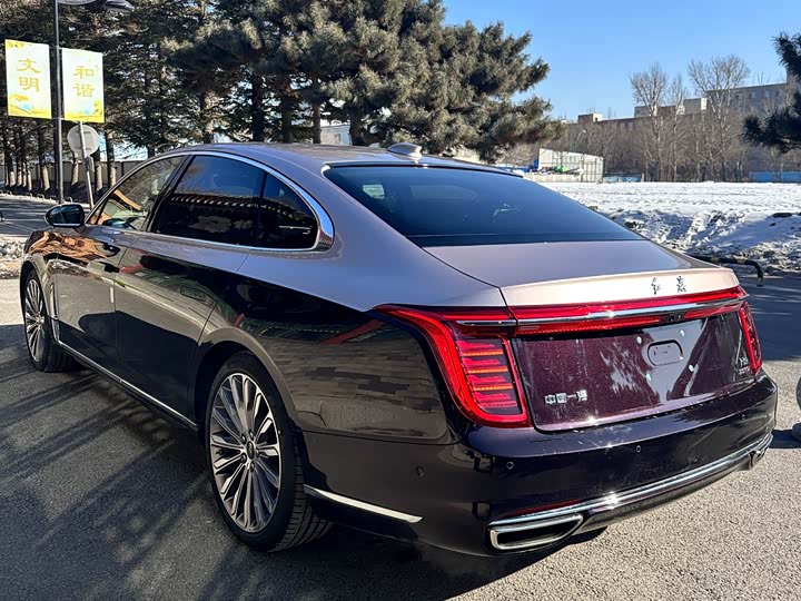 Фото 6 - Hongqi H9