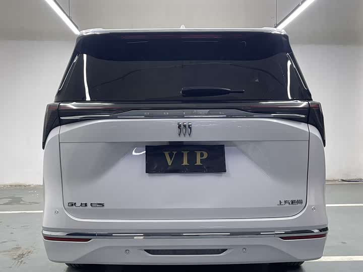 Фото 8 - Buick GL8 ES