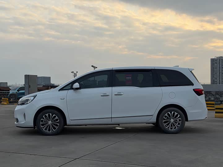 Фото 2 - Buick GL8 ES