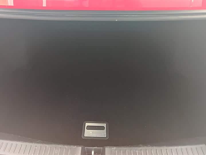 Фото 4 - XPeng P5