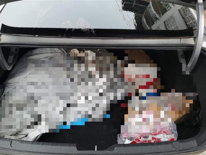 Photo 4 - Geely Preface