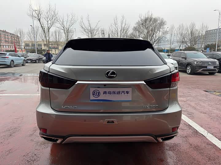 Фото 5 - Lexus RX