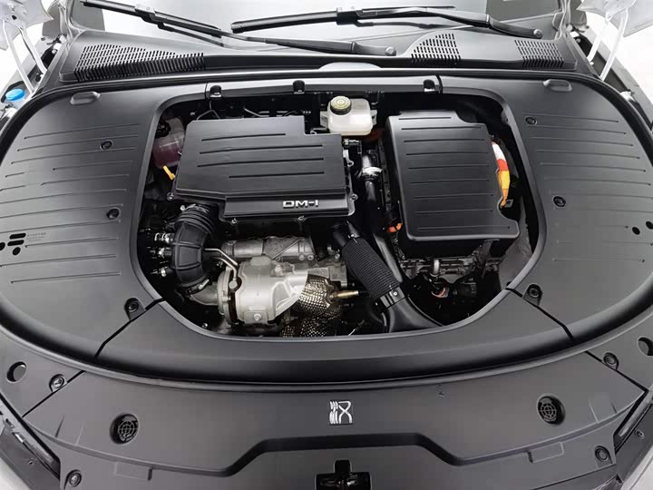 Фото 6 - BYD Han