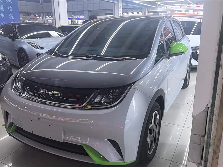 Фото 1 - BYD Dolphin