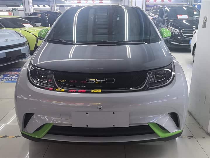 Фото 2 - BYD Dolphin