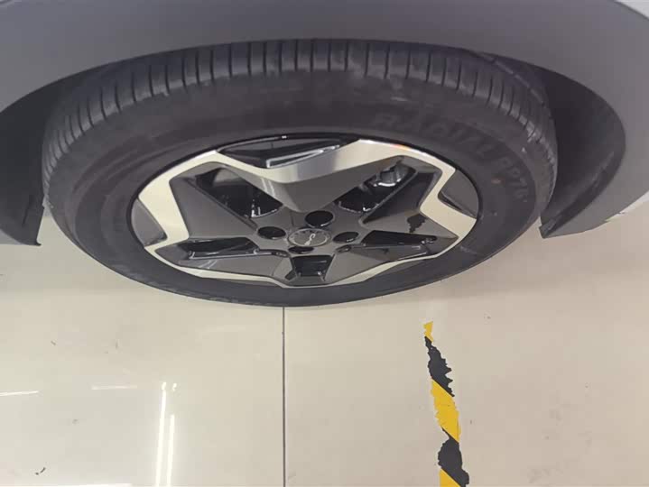 Фото 6 - BYD Dolphin