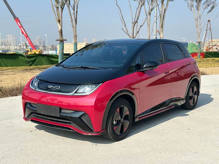 Фото 1 - BYD Dolphin