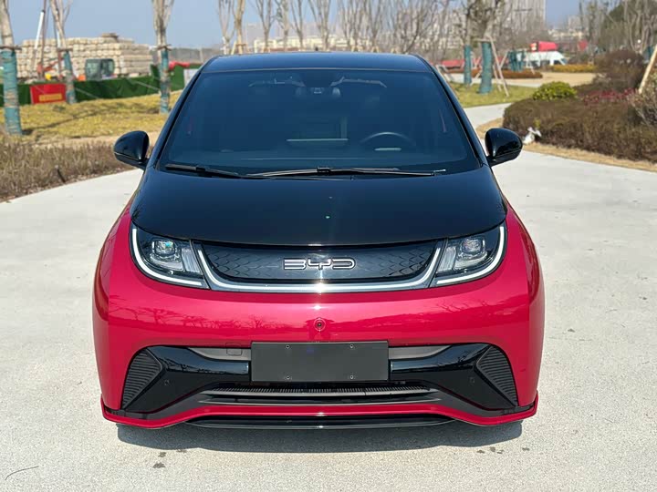 Фото 2 - BYD Dolphin