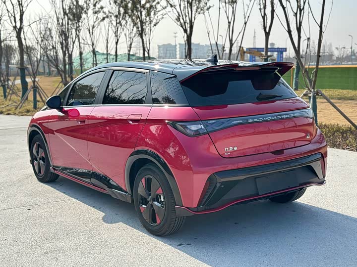 Фото 7 - BYD Dolphin