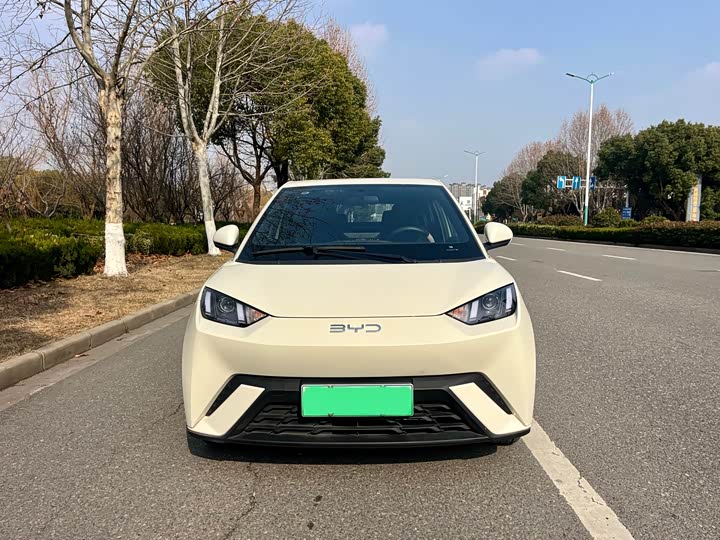 Фото 2 - BYD Seagull