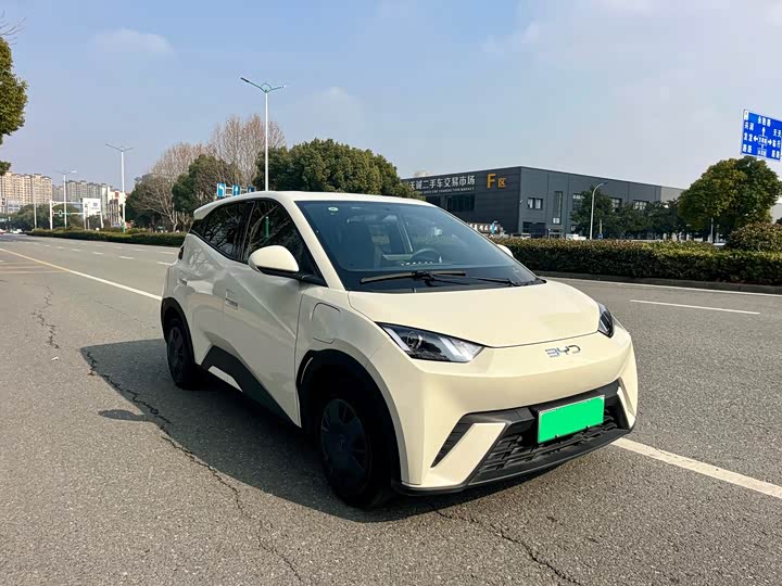 Фото 3 - BYD Seagull