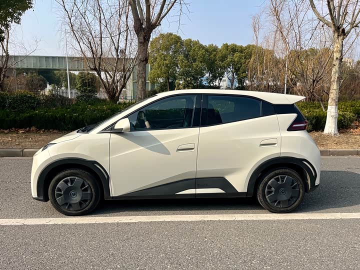 Фото 6 - BYD Seagull