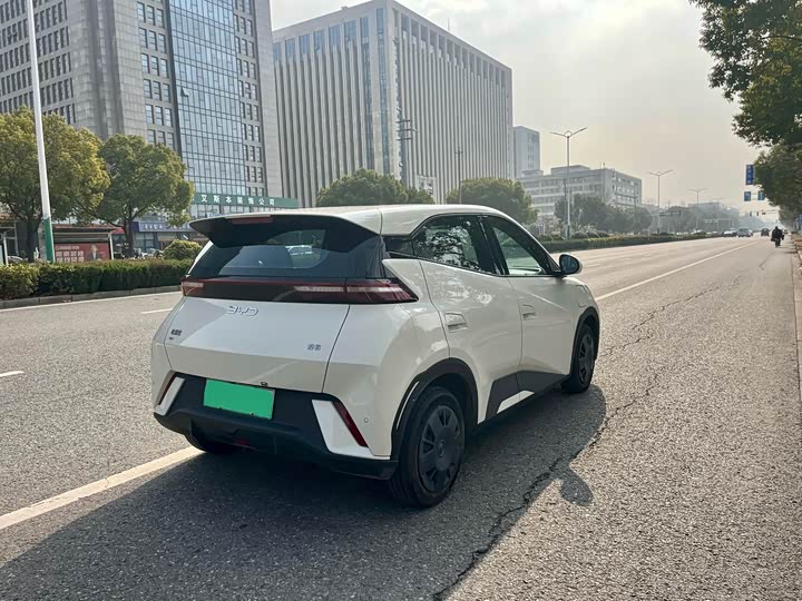 Фото 9 - BYD Seagull