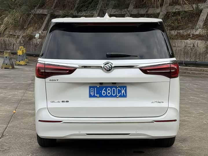 Фото 5 - Buick GL8 ES