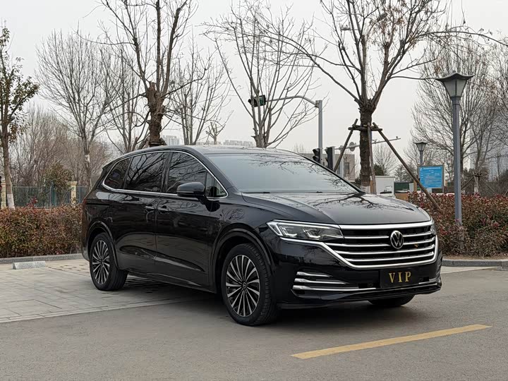 Фото 3 - Volkswagen Viloran