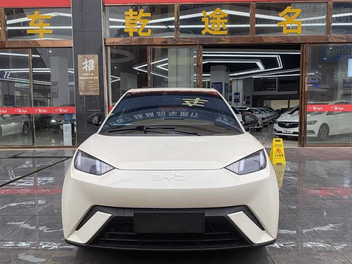 Фото 2 - BYD Seagull